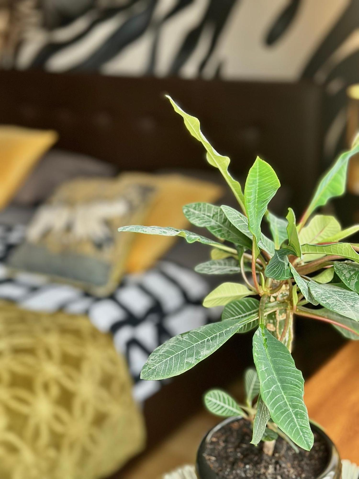 Africa Apartment Βαρσοβία Εξωτερικό φωτογραφία